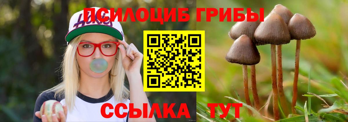 Галлюциногенные грибы Psilocybe  Псилоцибиновые грибы прущие грибы  Вход с VPN  Алатырь 